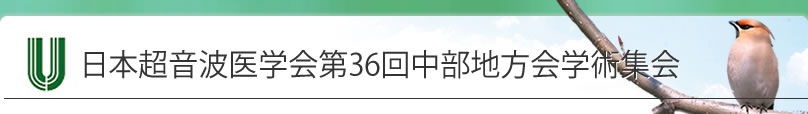 {gw36񒆕nwpW